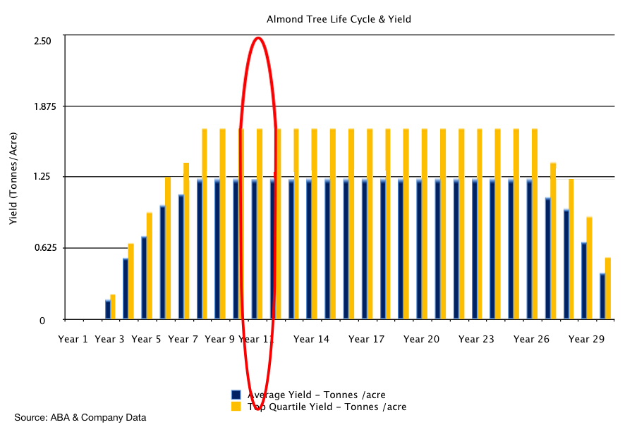 Almond Tree Lifetime Productivity