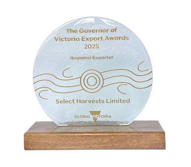 SHV Exp Award 388px wh bg 2